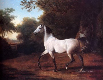  11 malerei - dw011fD Tier Pferd